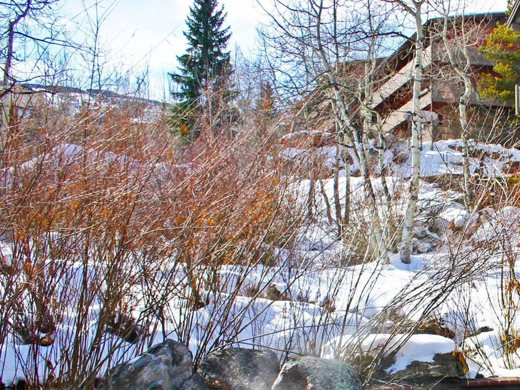 Terracehouse By Snowmass Vacations Apartment Snowmass Village Luaran gambar